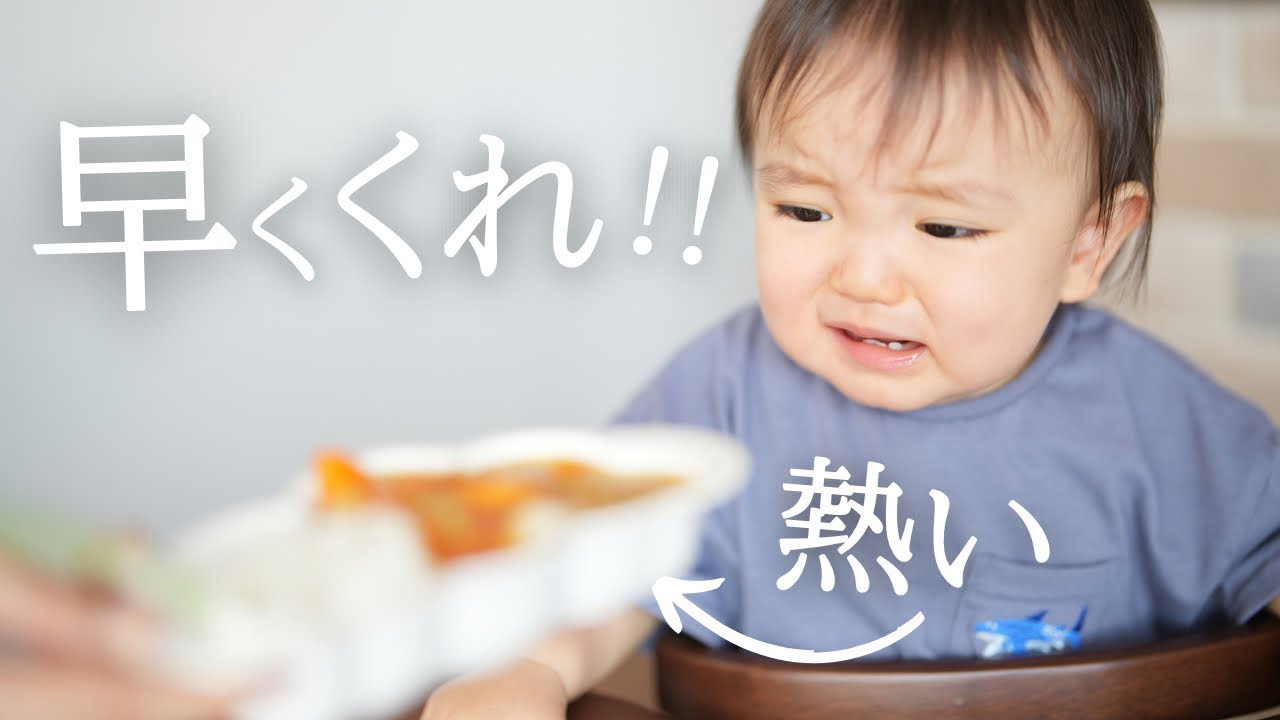 【離乳食】カレーを食べさせてみたら思ったより熱そうだったので冷ましたい母vs早く食べたい1歳児