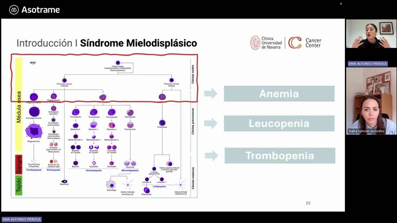 &iquest;Qu&eacute; son los s&iacute;ndromes mielodispl&aacute;sicos?