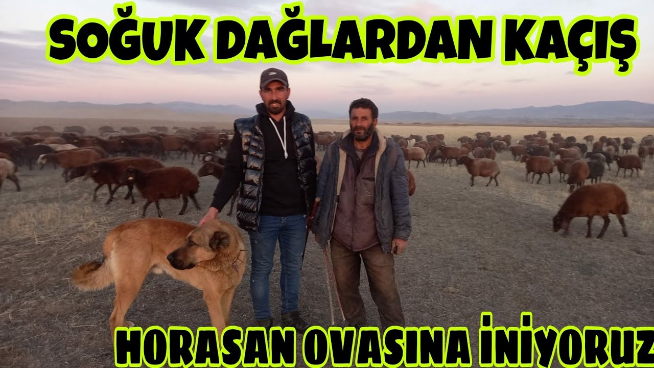 SOĞUK DAĞLARI İNİYORUZ-YOLUMUZA KIRIK ARAZİDEN DEVAM EDİYORUZ(6.gün)