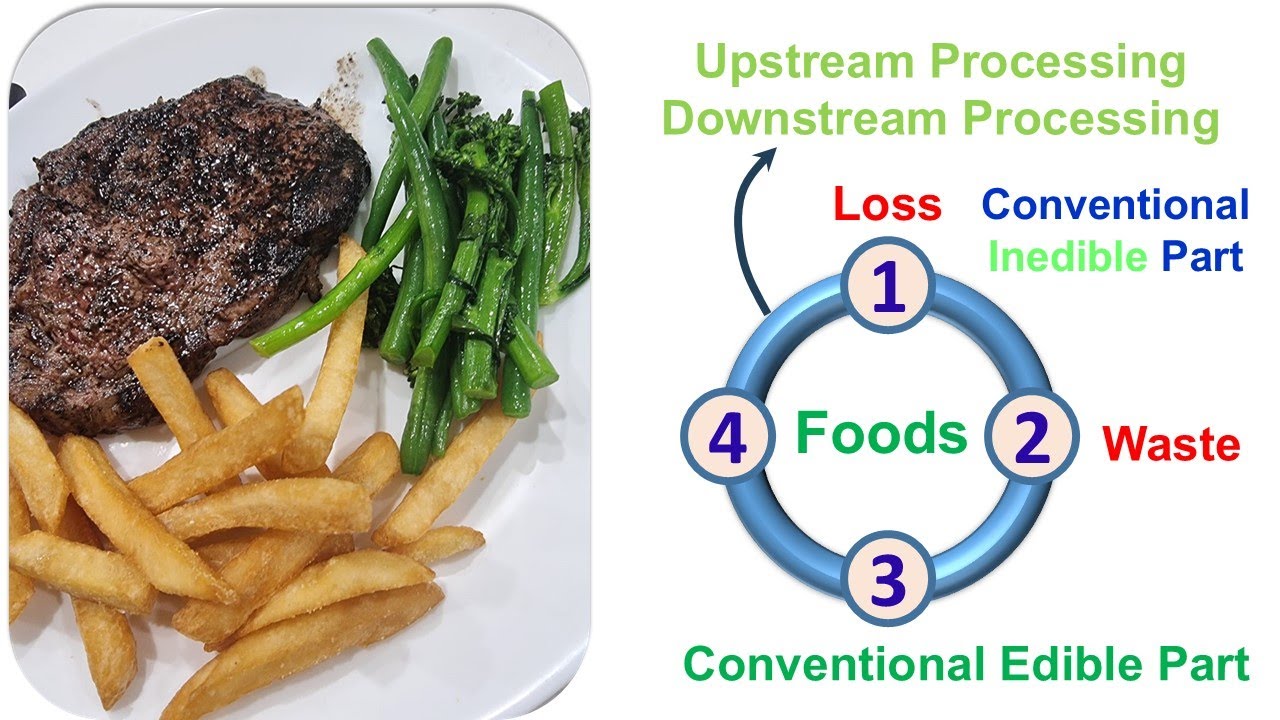 Food Loss and Waste: Basic Understanding