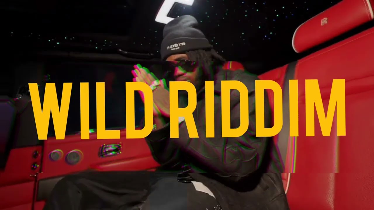 Dancehall riddim Instrumental 2026 (Wild Riddim)