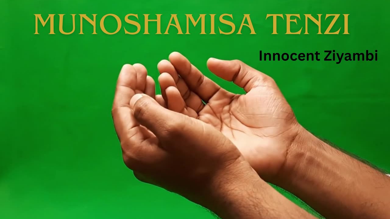 Munoshamisa Tenzi