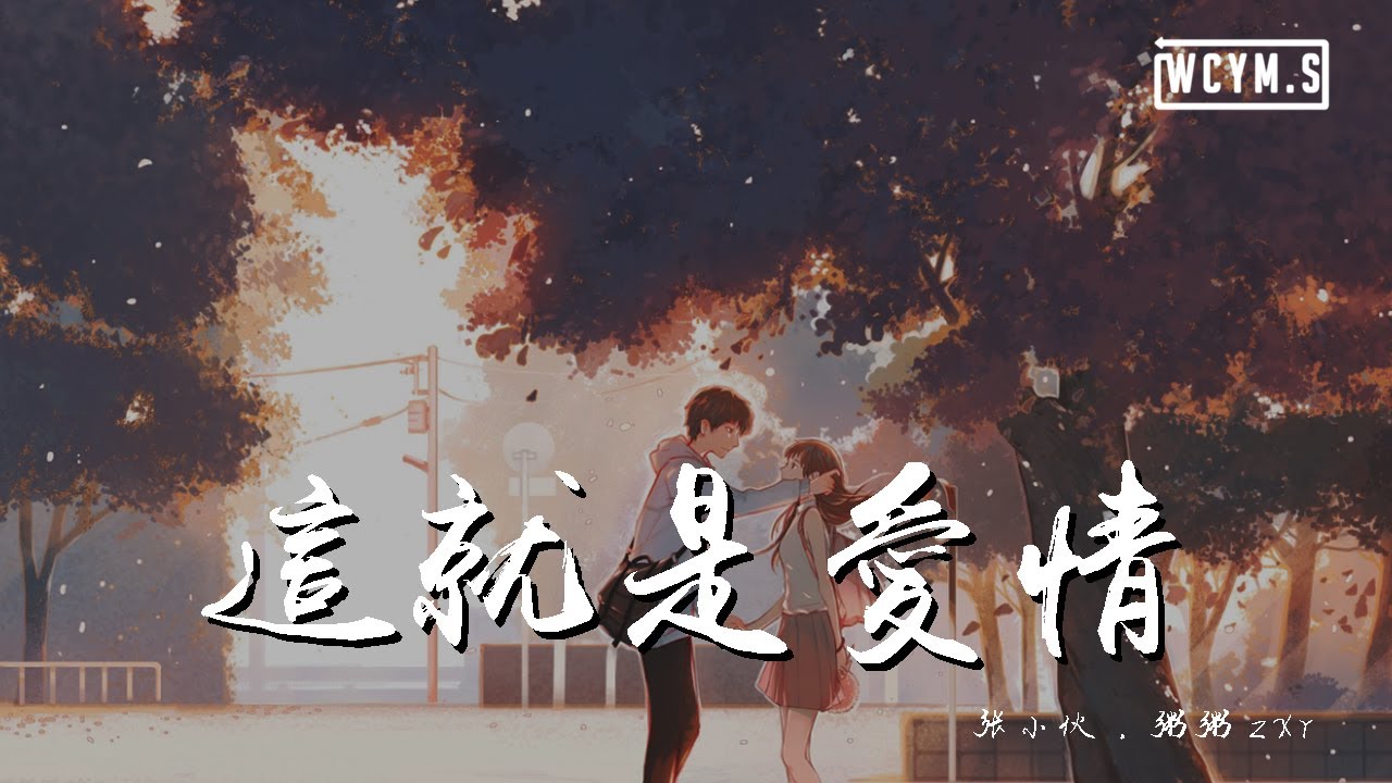 张小伙 & 粥粥zxr - 这就是爱情【動態歌詞/Lyrics Video】