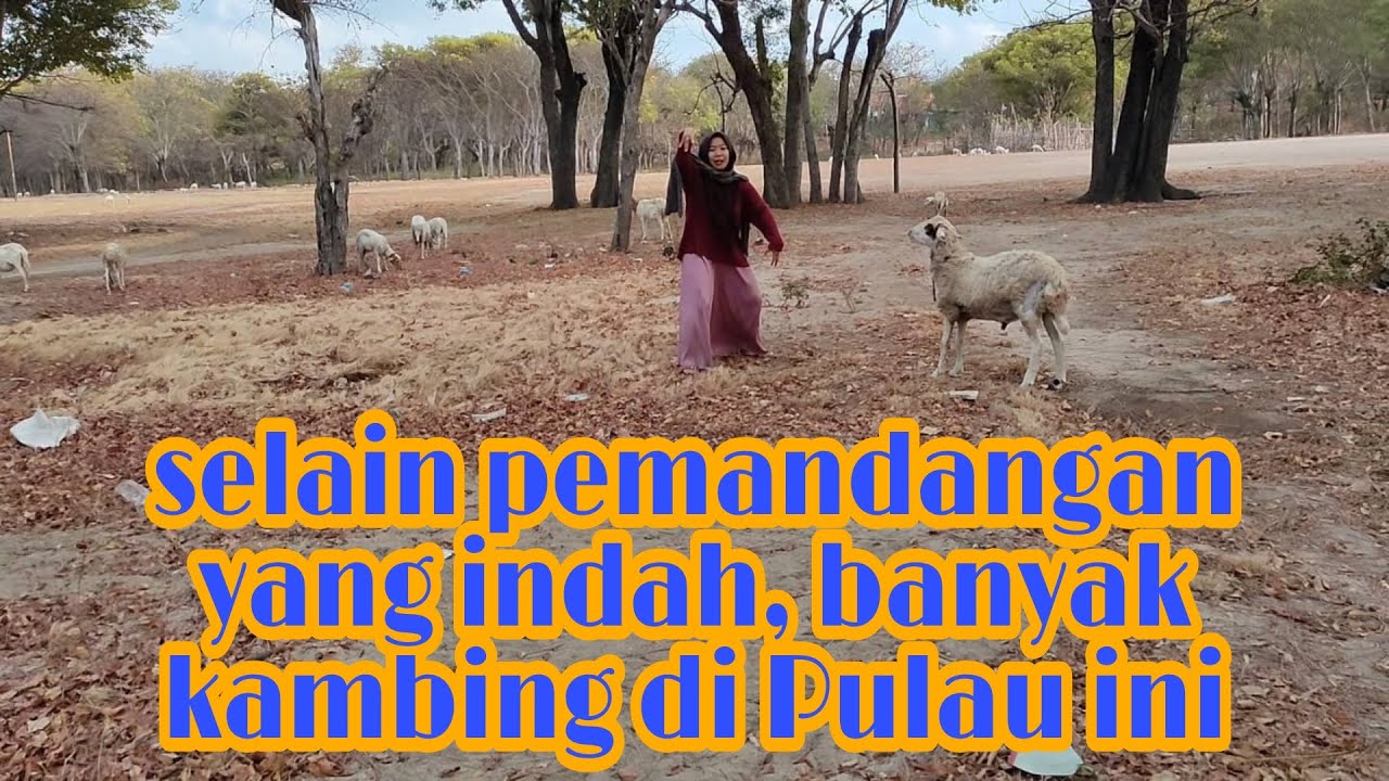 INDAHNYA SUNRISE DI PANTAI MANDANGIN SAMPANG MADURA
