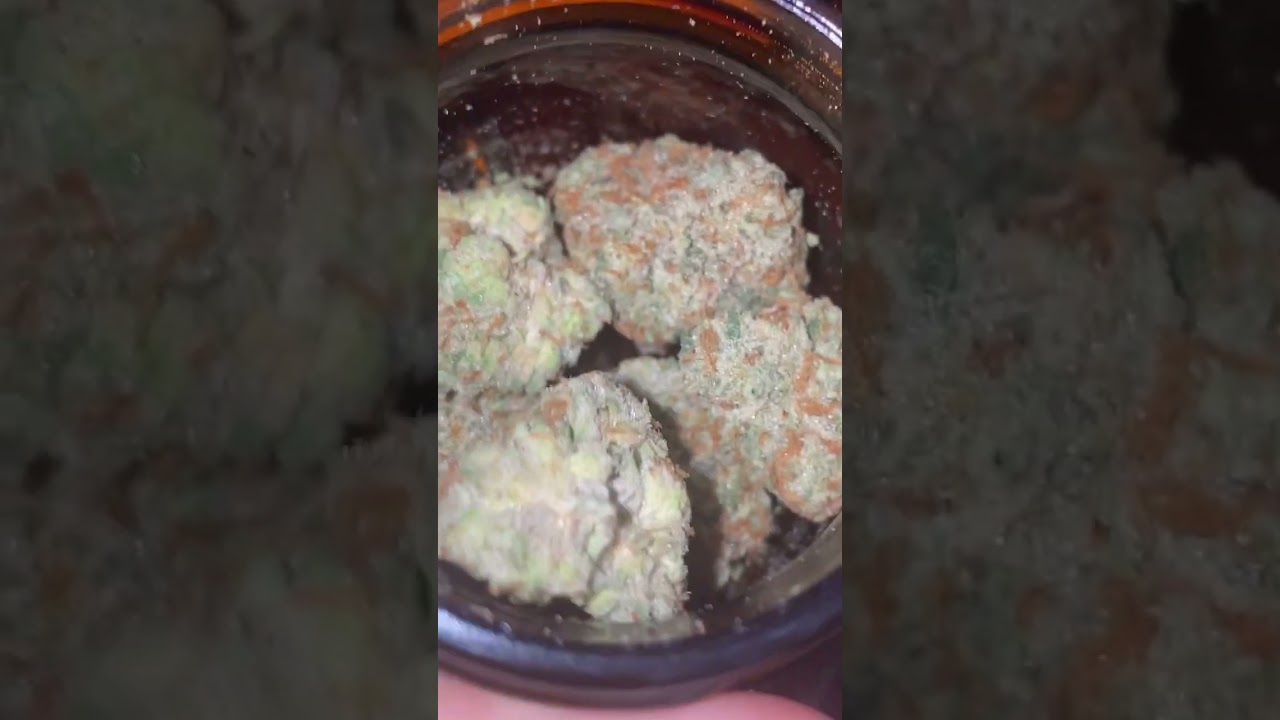 CRANBERRY ZKITTLEZ CULTIVAR GROWN YOU KNOW WAZ GOOD #cranberryzkittlez #youknowwazgood #420 #weed
