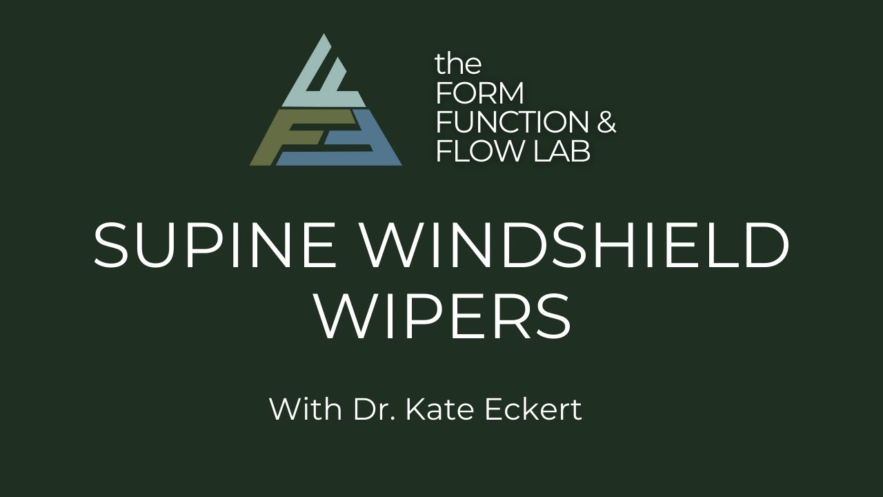 Supine Windshield Wipers