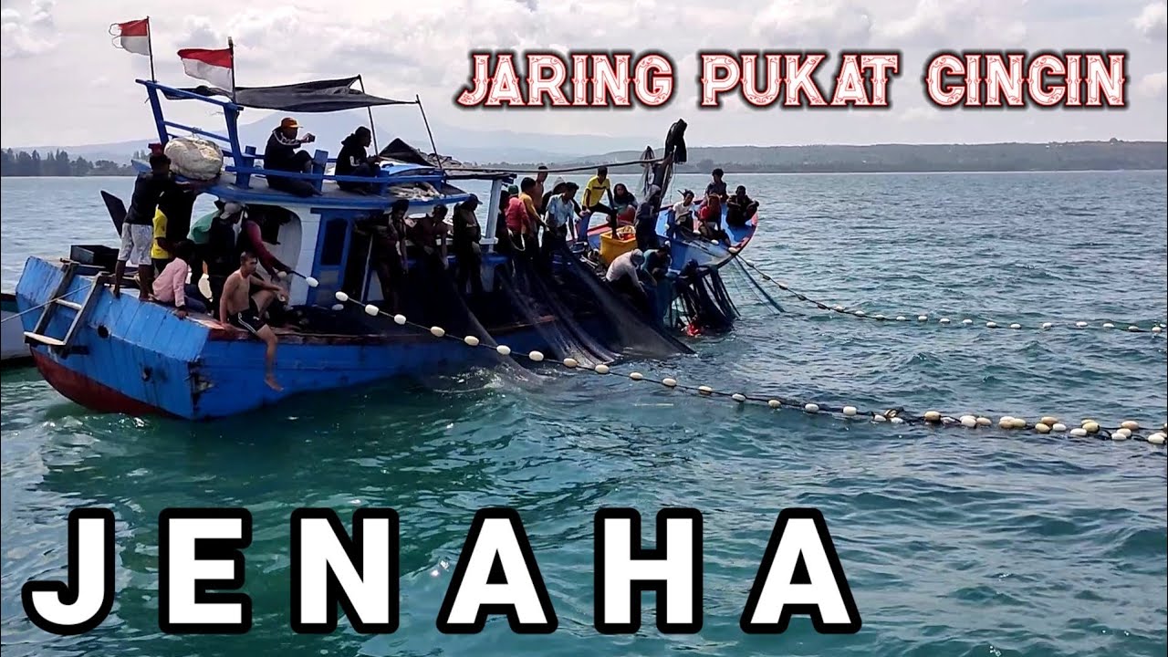Detik Detik Penangkapan kawanan Ikan JENAHA Dengan Pukat Cincin LAUT ACEH