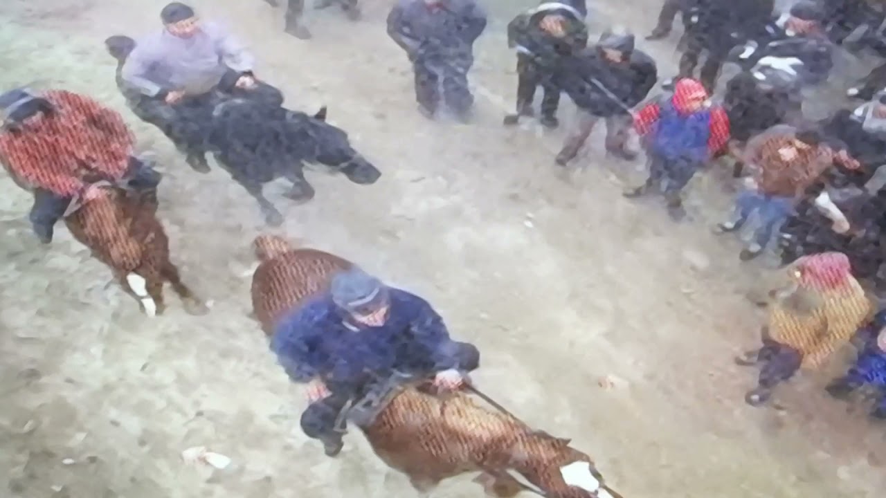 Абдусалом полвон