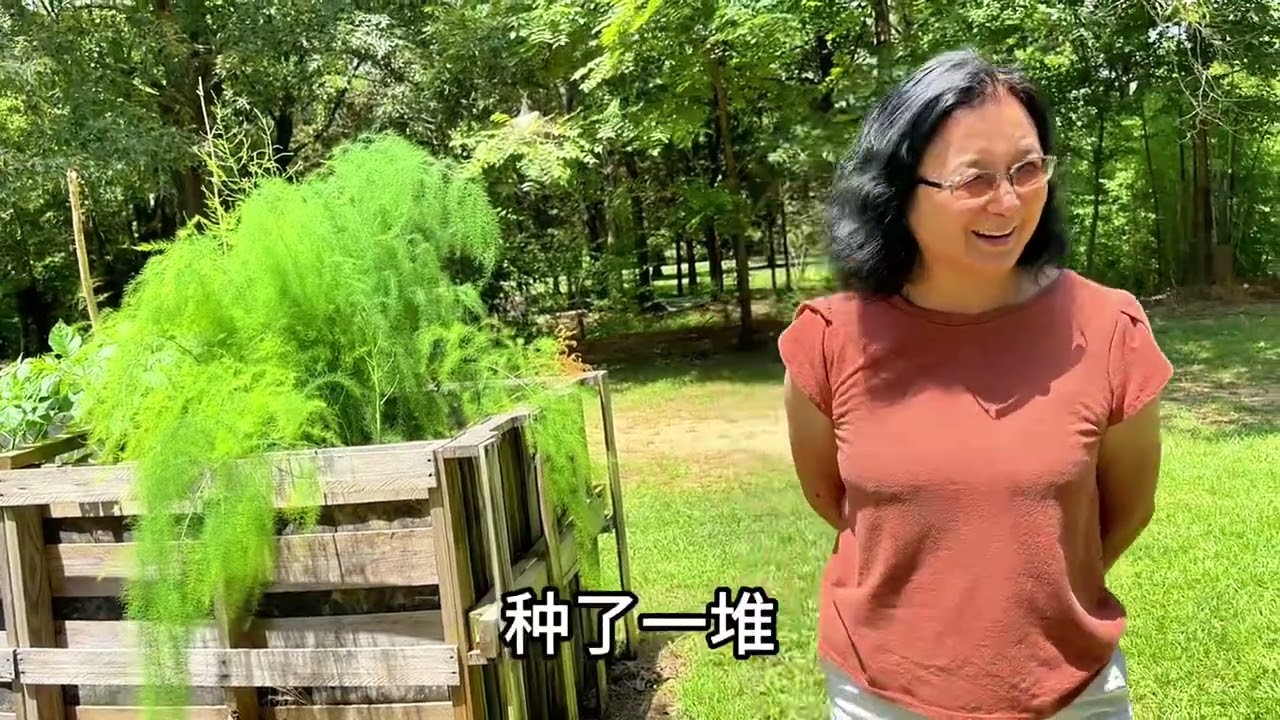姐姐們遠道而來求茭白，必須給。