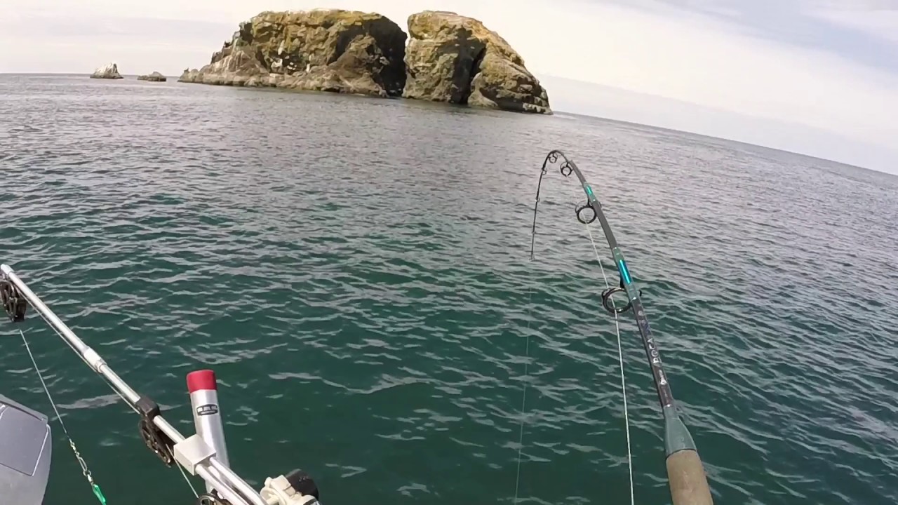 Westport Rockfish