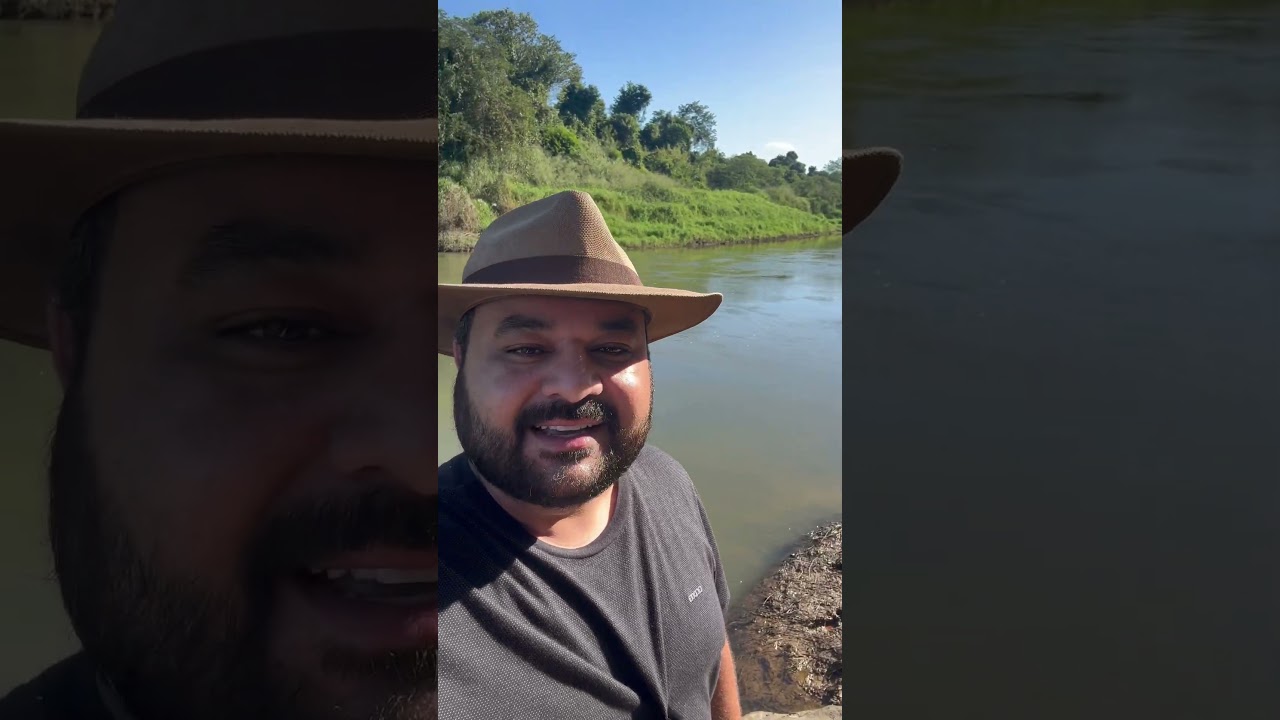 Ch&aacute;cara Pr&oacute;xima ao rio das cinzas R$45mil #rural #paran&aacute; #vidanocampo #ro&ccedil;a #vidasimples