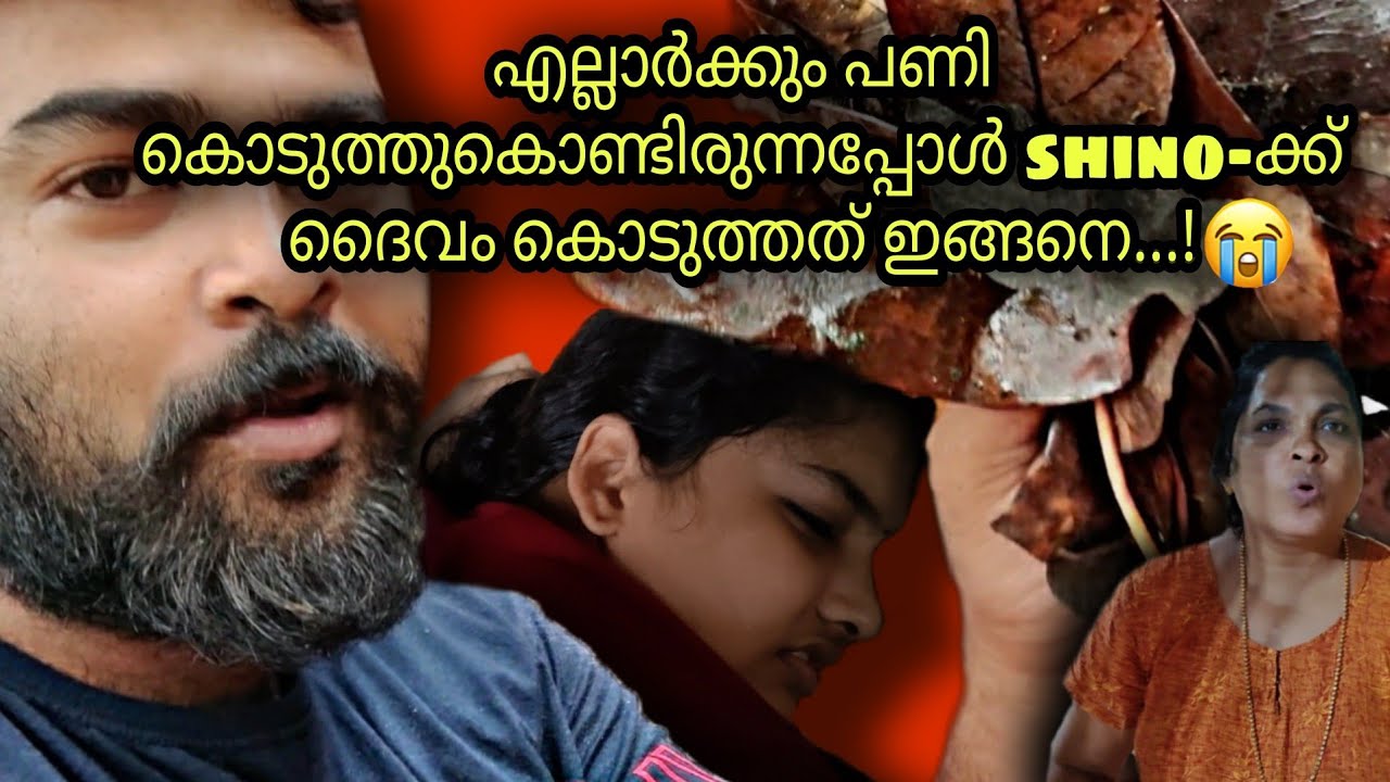 വീട്ടിൽ ഉള്ളവർക്ക് പണി കൊടുക്കുന്നതിനിടയിൽ SHINO ക്ക്‌ ദൈവം കൊടുത്ത കിടിലൻ പണി🙏|| ദൈവം ഉണ്ട് 😟😯
