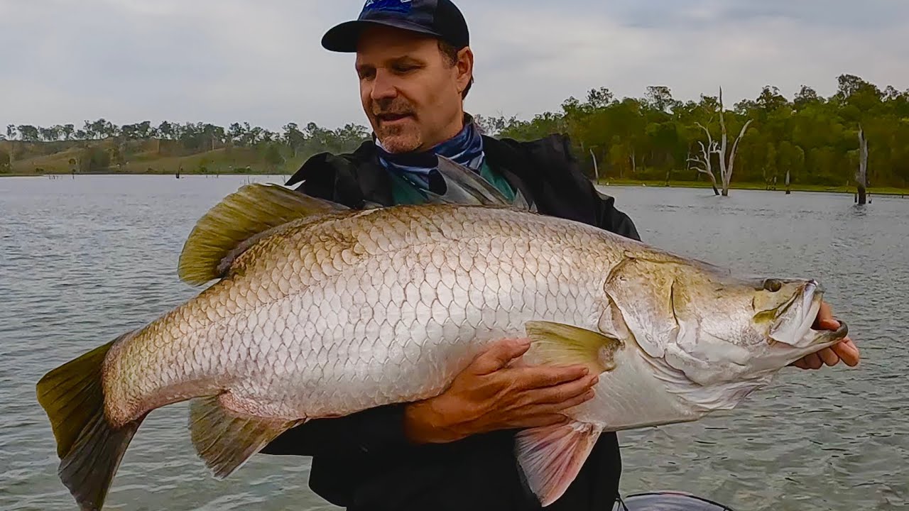 Monduran 121cm giant Barramundi