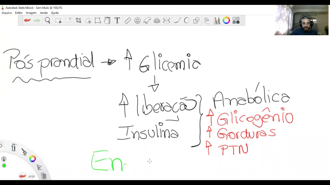FISIOPATOLOGIA DA DIABETES MELLITUS