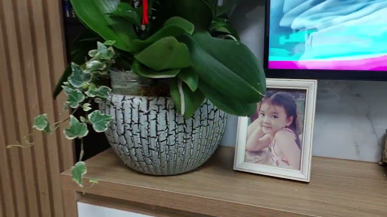 Xuân yêu thương