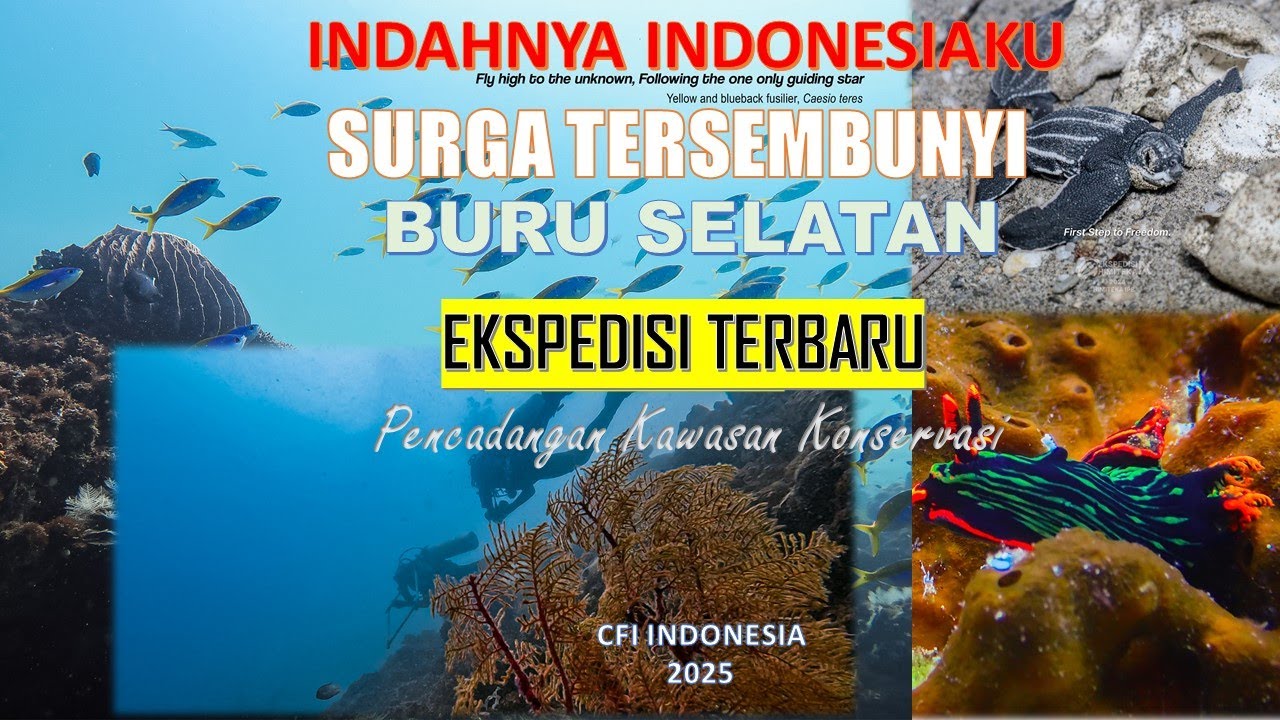 INDAHNYA INDONESIA : EKSPEDISI PENCADANGAN KAWASAN KONSERVASI BURU SELATAN _ CFI INDONESIA