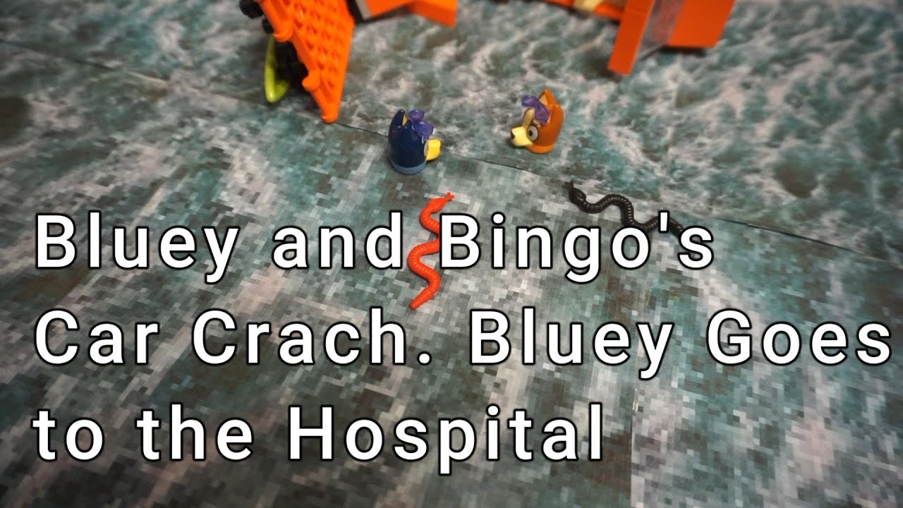 Bluey and Bingo Crash, Bluey is Taken to the Hospital