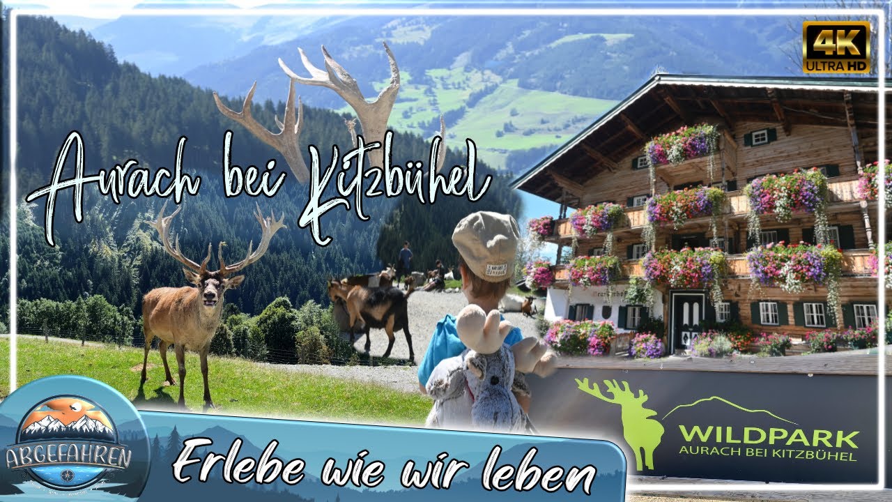 Im Herzen der Kitzbüheler Alpen!  | Wildpark Aurach | Tirol | 2022 | 4K | Abgefahren