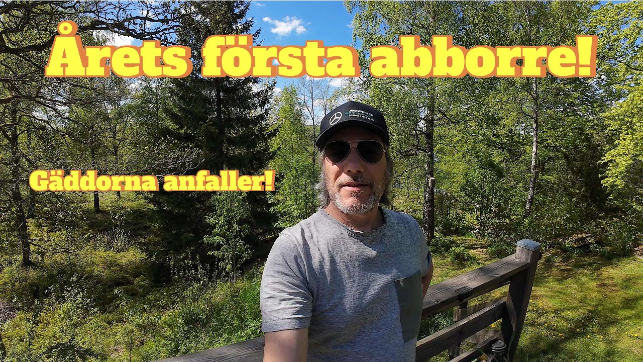 Årets första abborre!