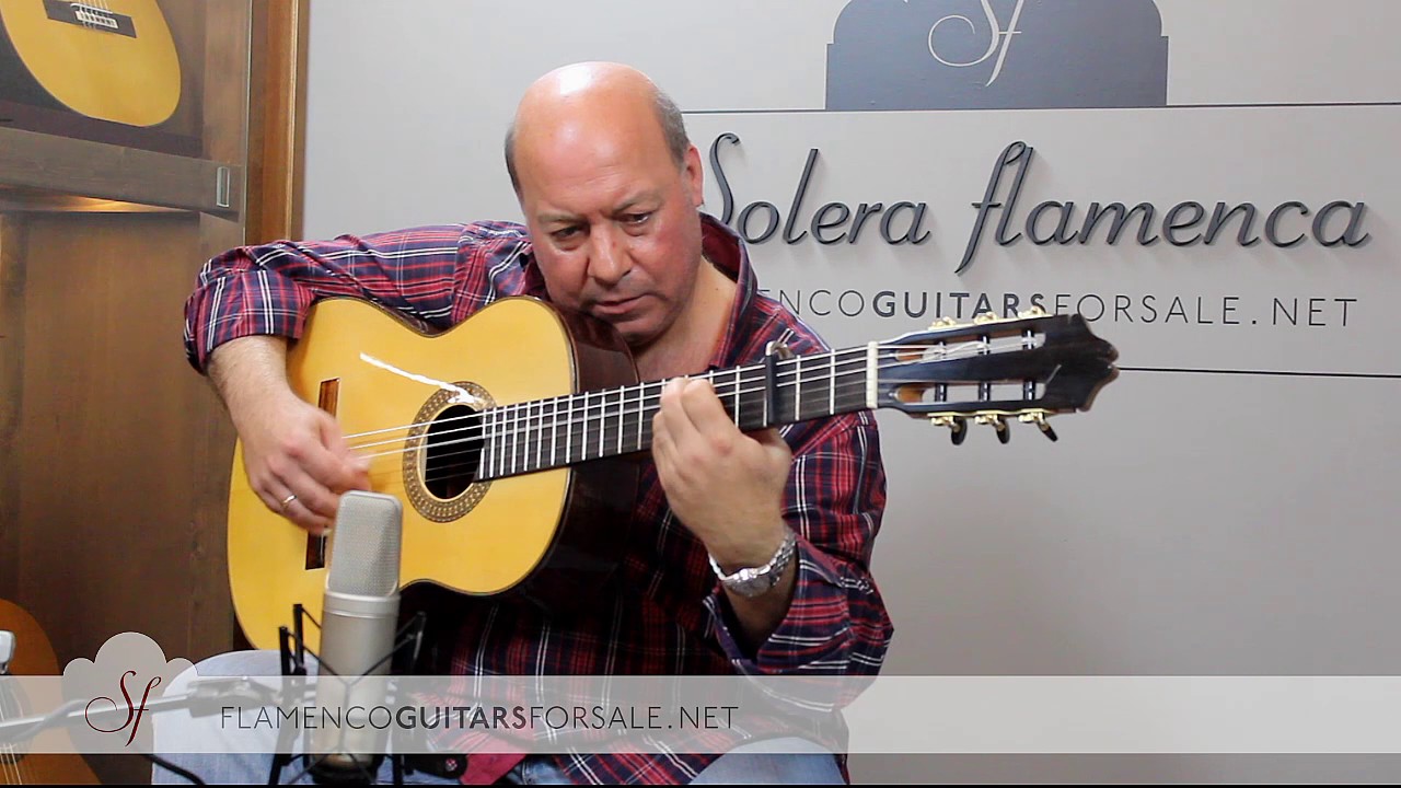 Domingo Rubichi in Solera Flamenca. 