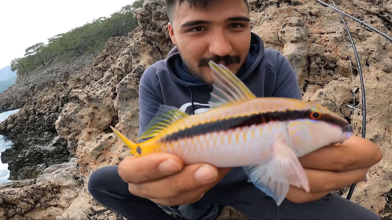 İlk Youtube Videom : Tolga Çalım ile Yemli Balık Avı ve Çıntar Mantarı Toplayıp Yedik