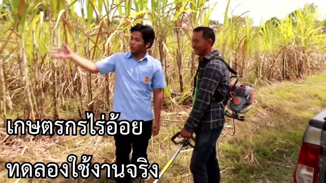 เครื่องสางใบอ้อยแบบสะพาย