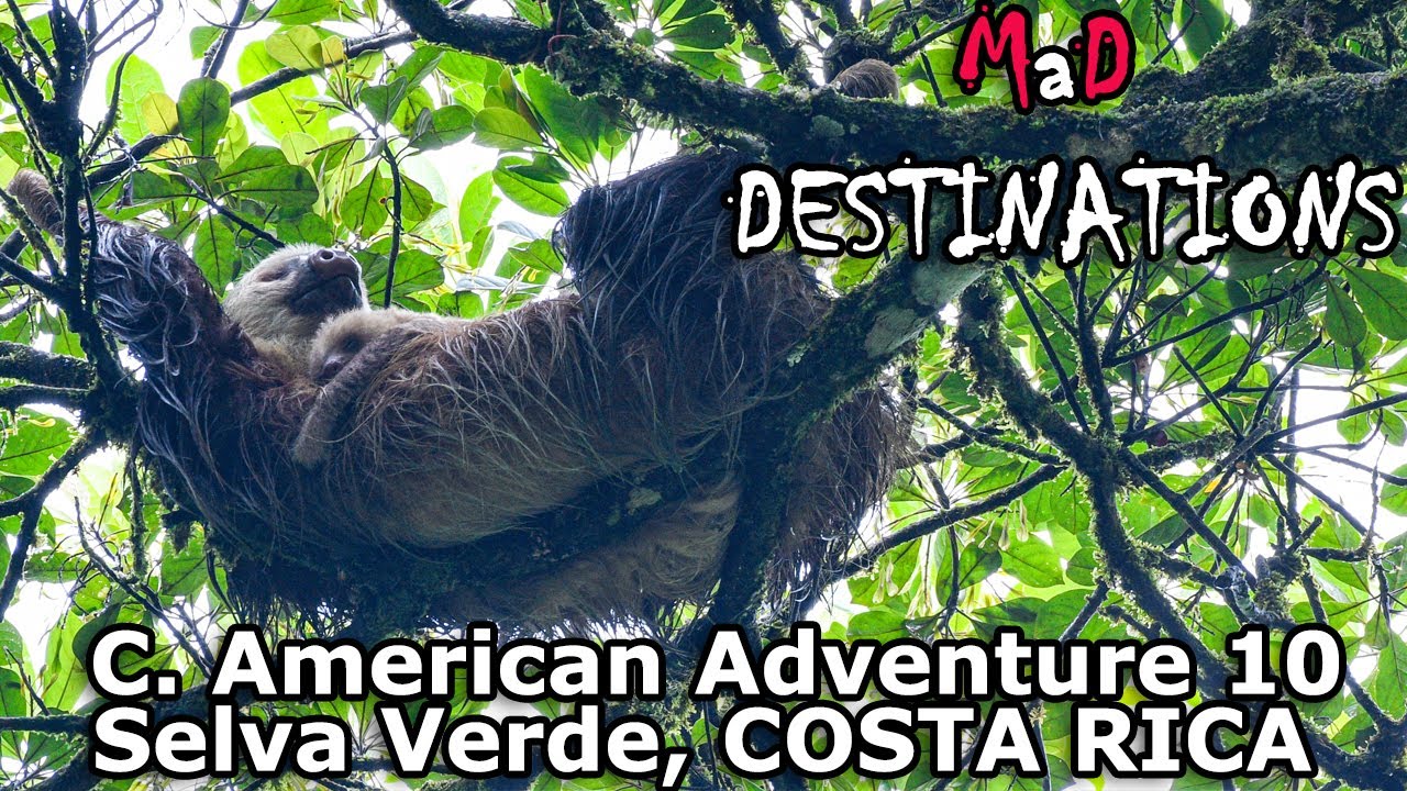 Selva Verde, Costa Rica