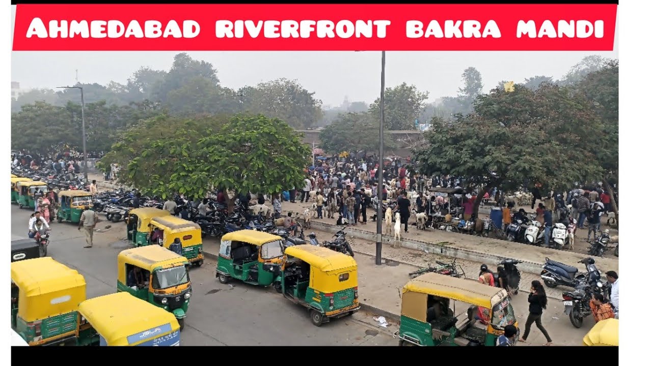 Ahmedabad River front bakra mandi | sunday market | mukim khan