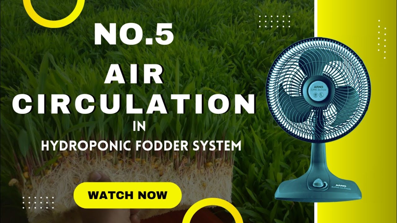 Episode-5 | Air Circulation In Hydroponic Fodder System | Green Fodder Farming