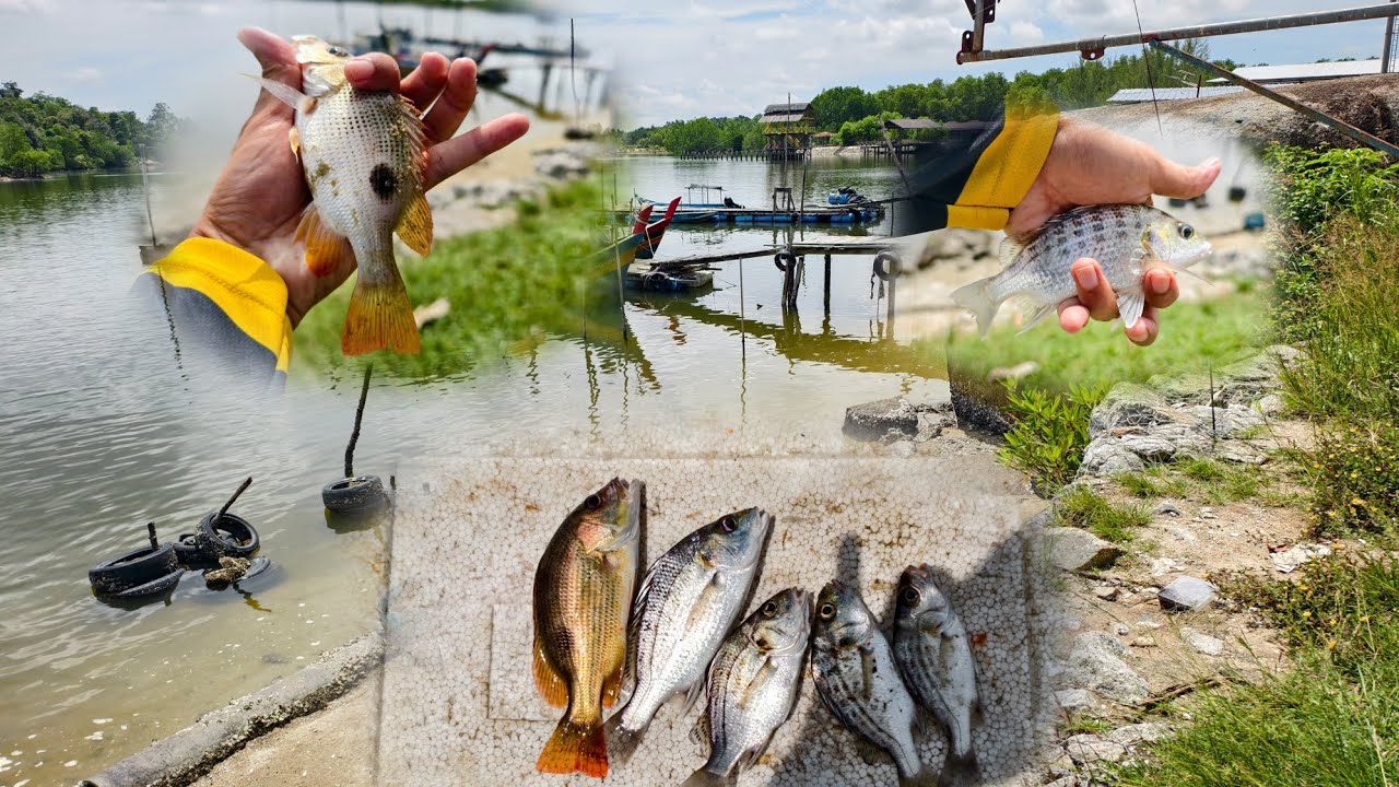 Mencari Rezeki Ikan Di Lumut, Perak #memancing #pancing #kakipancing 