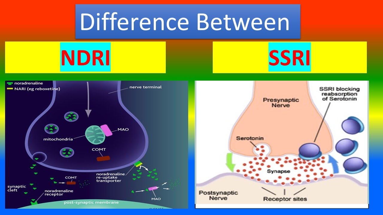 Difference between NDRI and SSRI