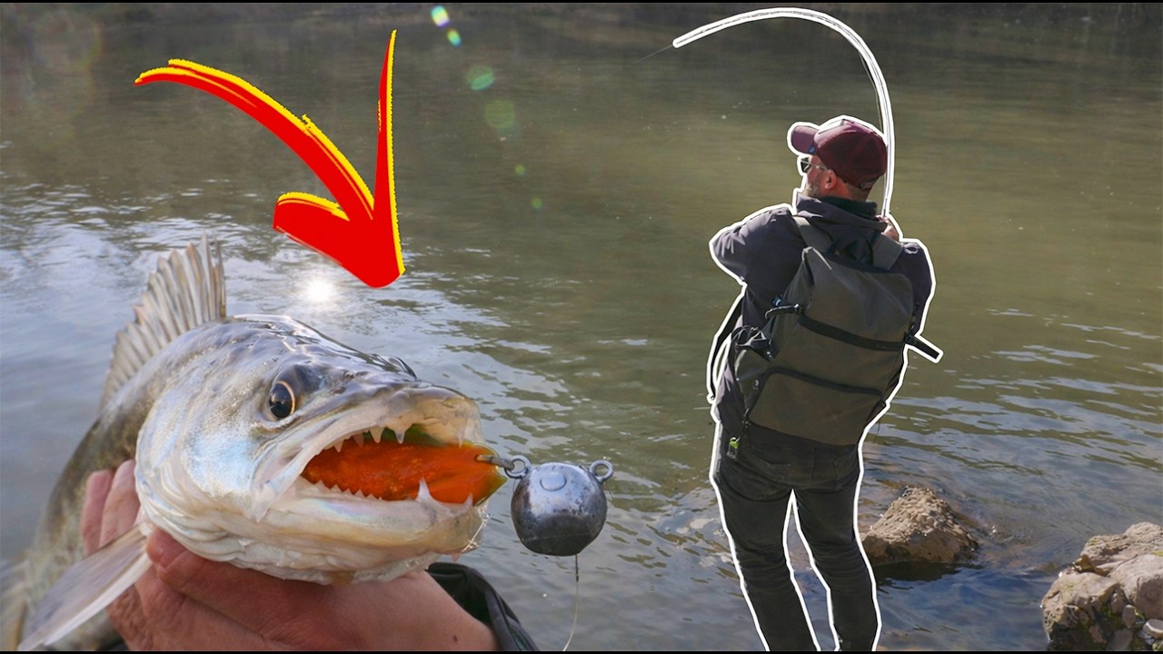 They Ruined My Zander Session… So I Launched the Kayak