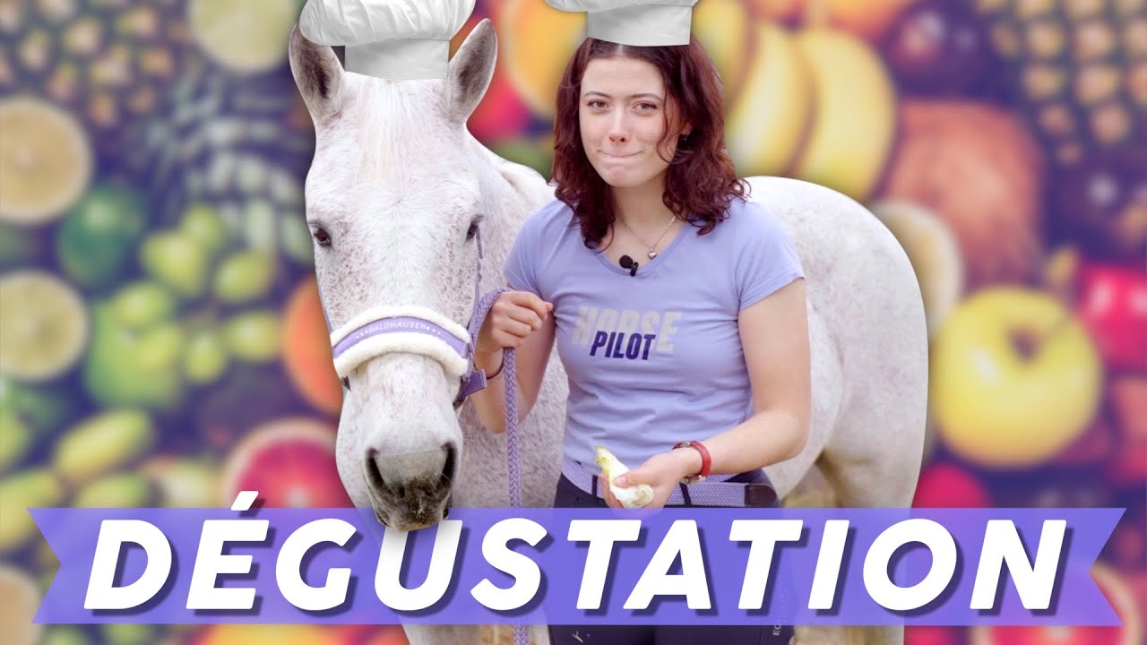 MON CHEVAL GOÛTE DES ALIMENTS BIZARRES 2 🥐 (il est difficile...) #equitation #degustation
