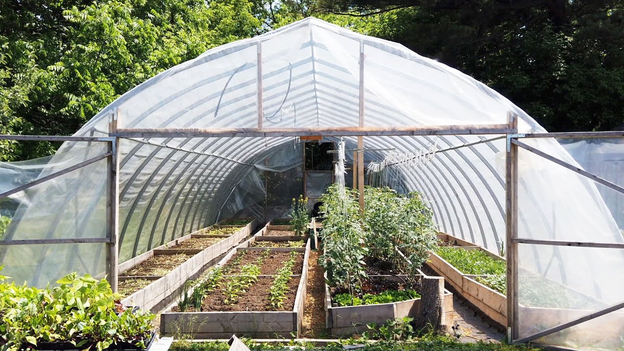 Urban Farming in a Toronto Backyard