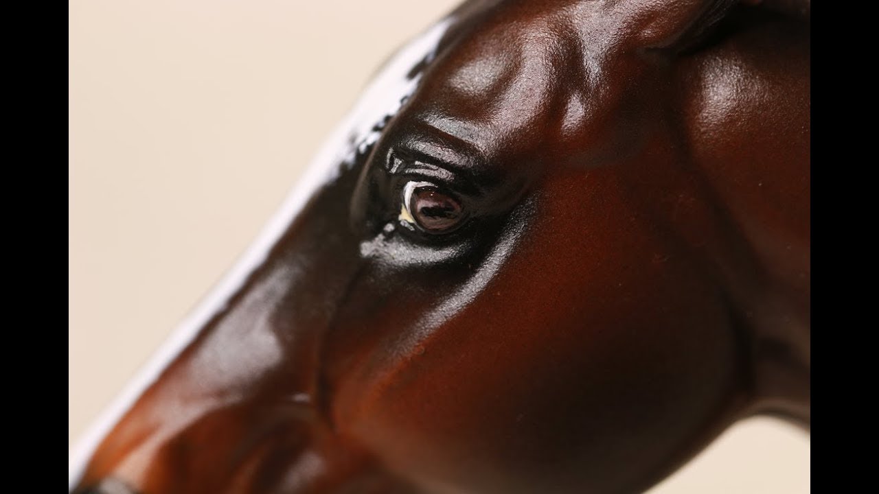 Простые и реалистичные глаза — как нарисовать модель лошади Breyer — урок