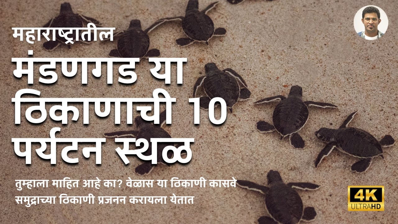 मंडणगडचे BEST 10 पर्यटन स्थळे तुम्हाला माहित आहेत का ? Top 10 tourist places in Mandangad