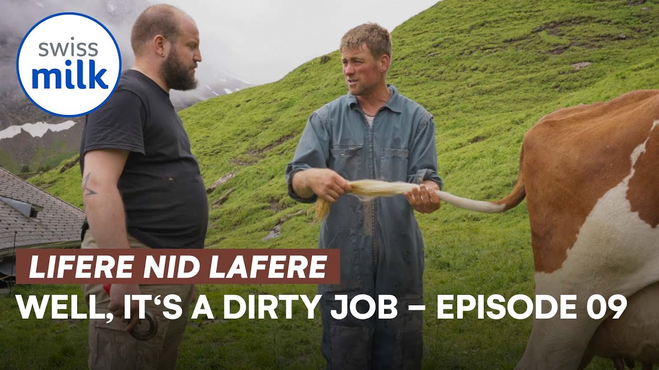 Well, it's a dirty job 1 | Lifere, nid lafere | E09 | Kuh- und Stallpflege | Swissmilk (2021)