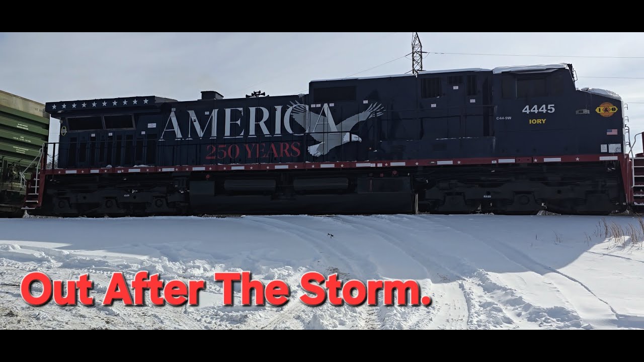 Two Rare Occurrences In One Day, and Stories Of Survival