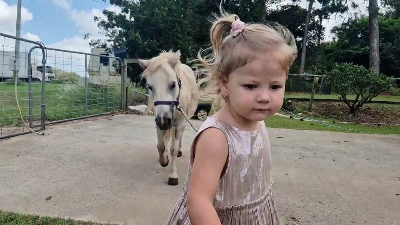 Washing the Mini Ponies: Belle & Missy 🧼🐴