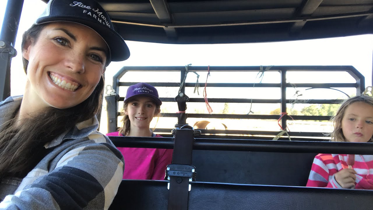 Sunday Chores at Five Marys Farms
