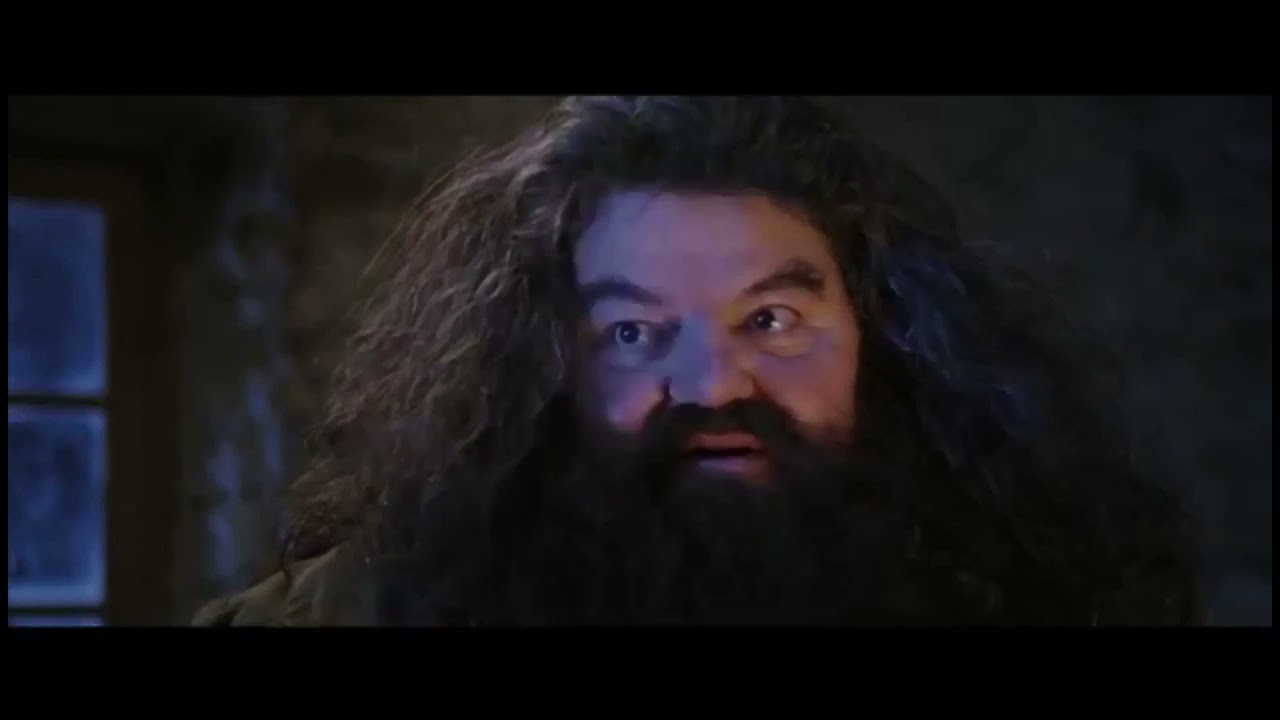YTP Harry Potter - Hagrid the Serial Kiler