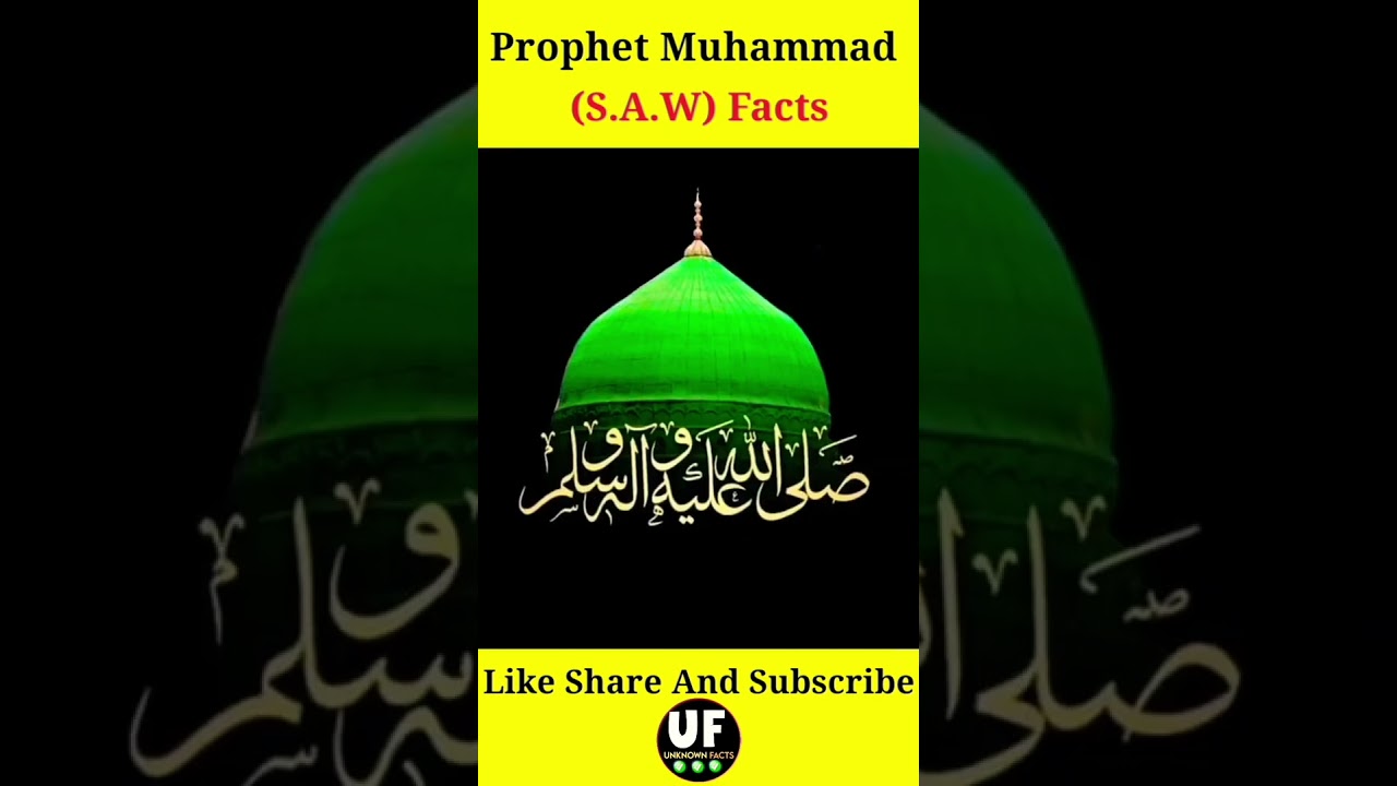 amazing facts about profit Mohammad Shahab 