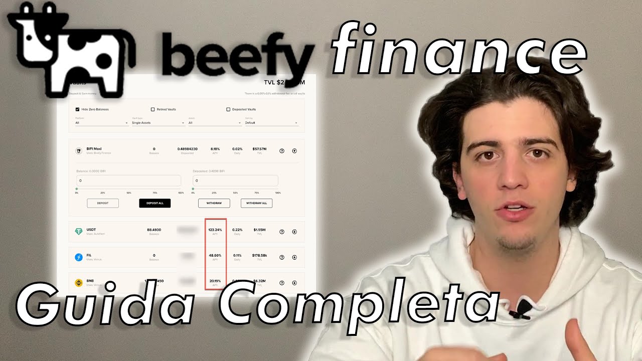 Beefy.Finance // La Guida Completa