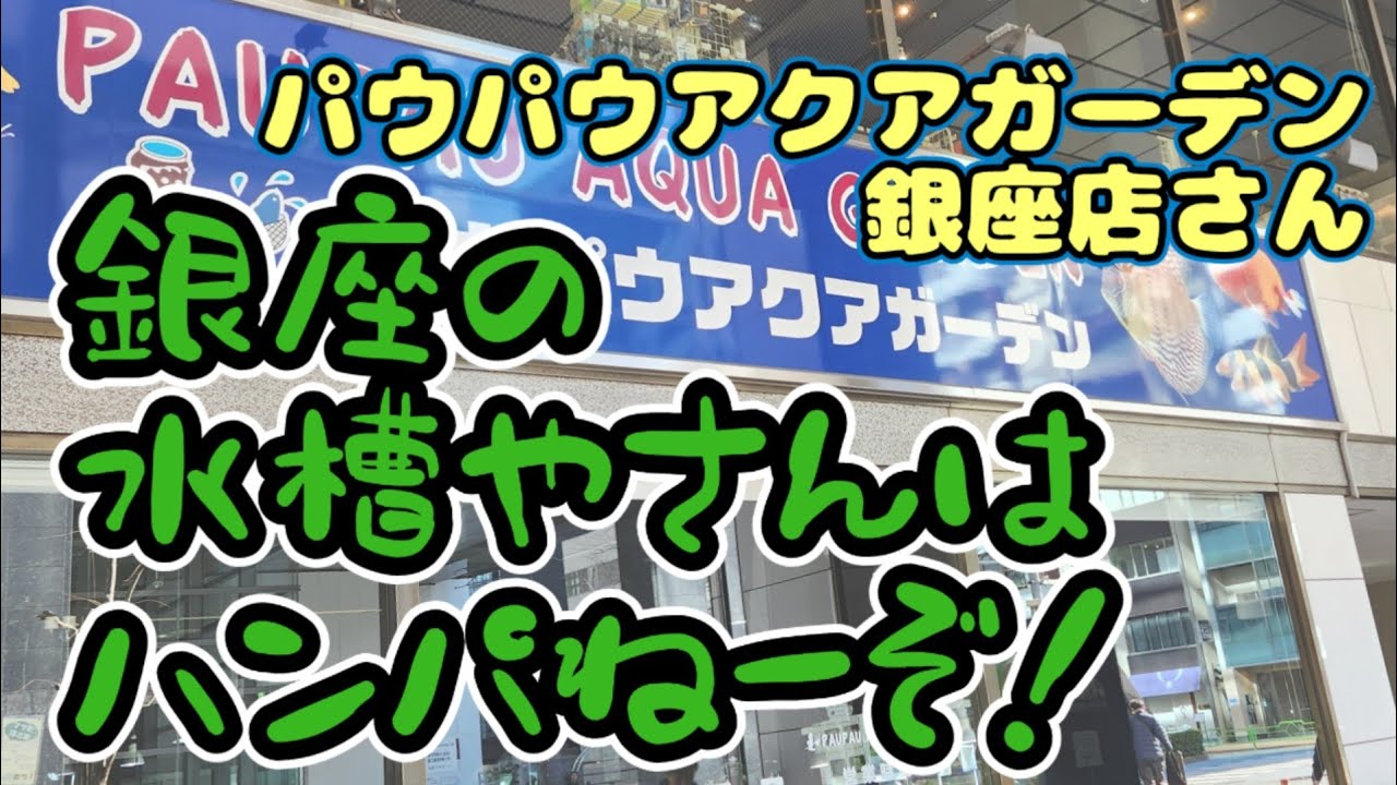田舎モンが『パウパウアクアガーデン銀座店』さんに行ってみた！