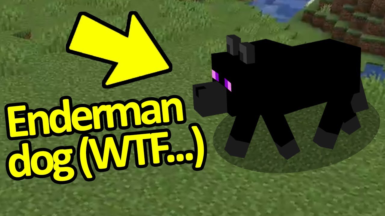 Minecraft WTF Moments that will Change Minecraft for you FOREVER #2