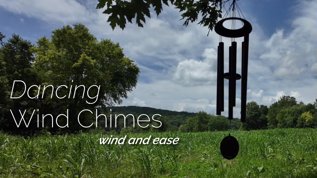 Corinthian Bells Wind Chimes by Wind River | Hand-Tuned Scale E | 36-Inch Chimes in Breezy Field