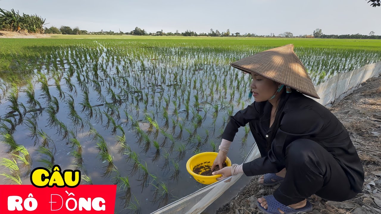 Câu Cá Rô Đồng Theo Phong Cách Của Người 