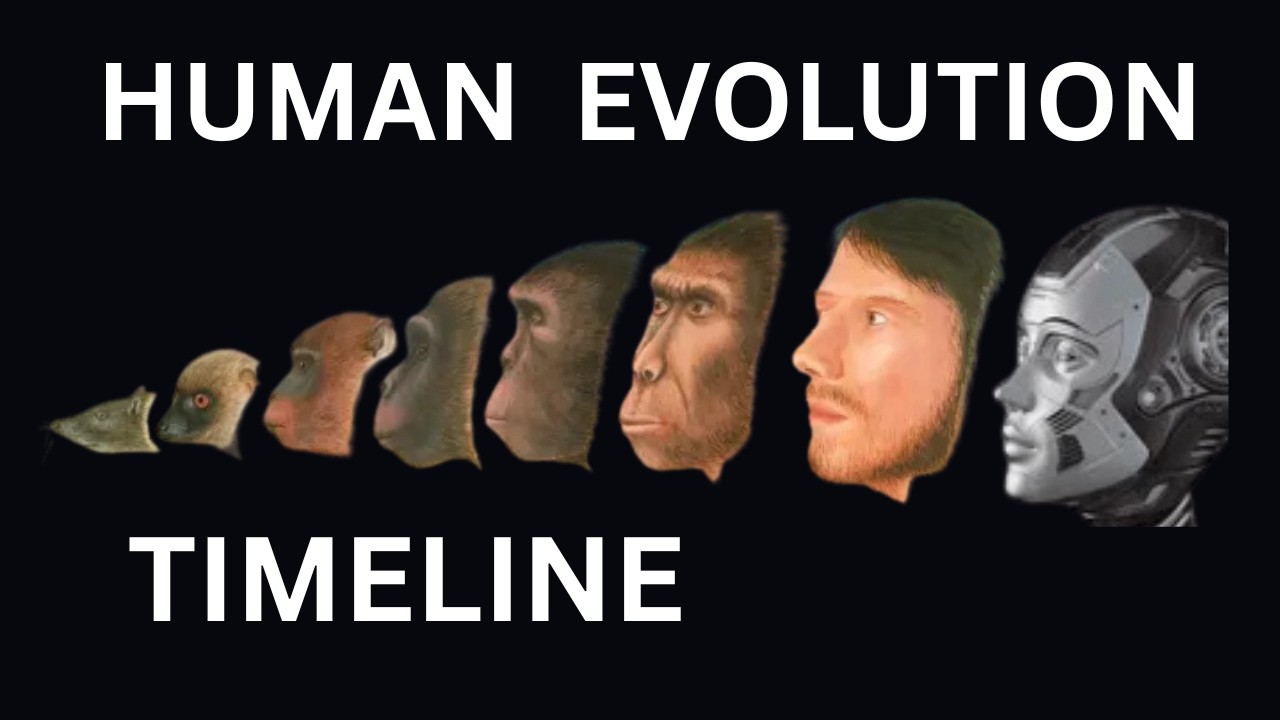 Human Evolution: The Complete Timeline 