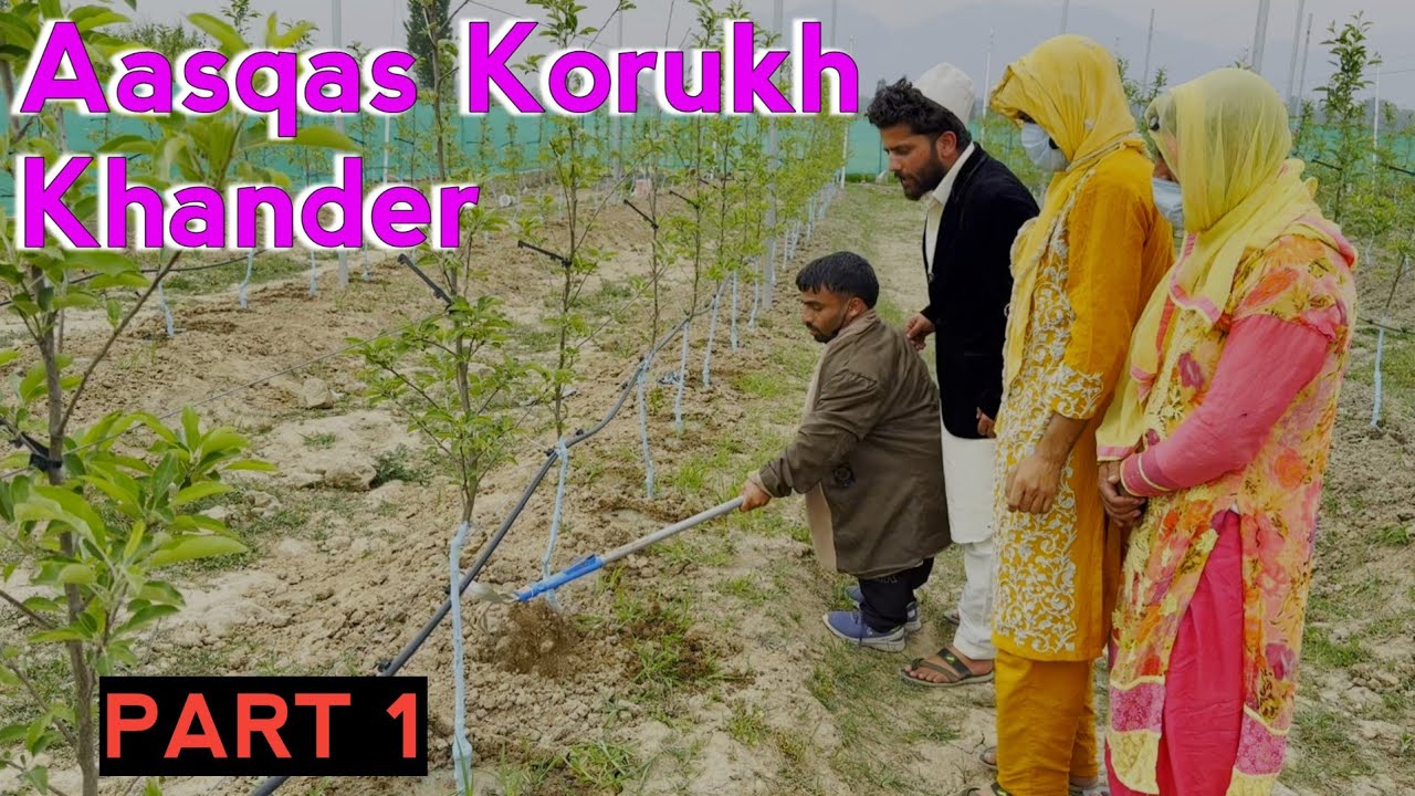 Aashqas Korukh Khander / PART 1 / Kashmiri Drama