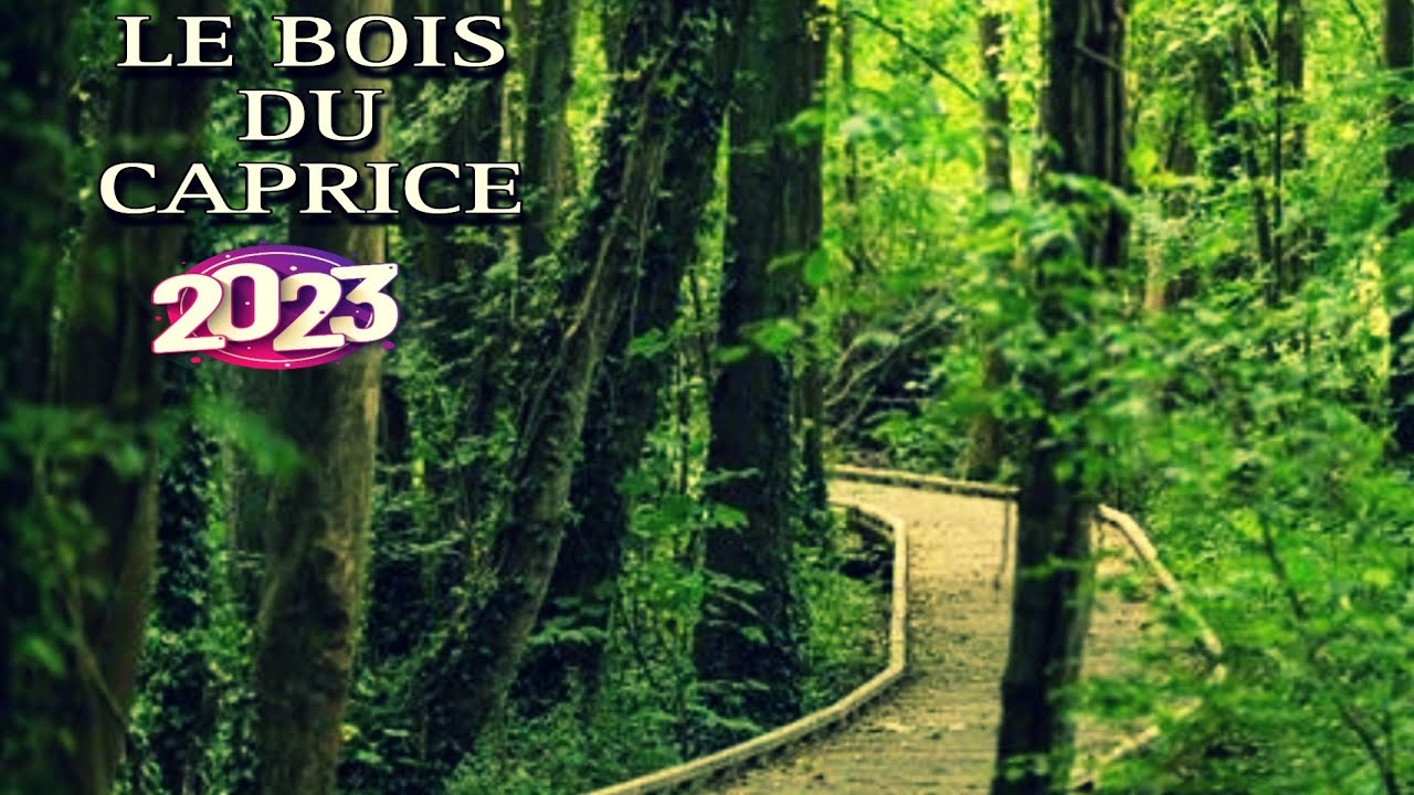LE BOIS DU CAPRICE 2023